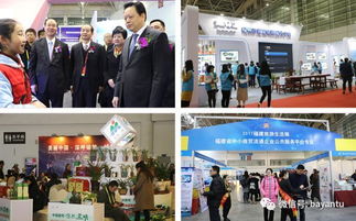 合作共贏 福旅會展與31會議強(qiáng)強(qiáng)聯(lián)合，數(shù)字會務(wù)賦能活動(dòng)管理與企業(yè)形象策劃
